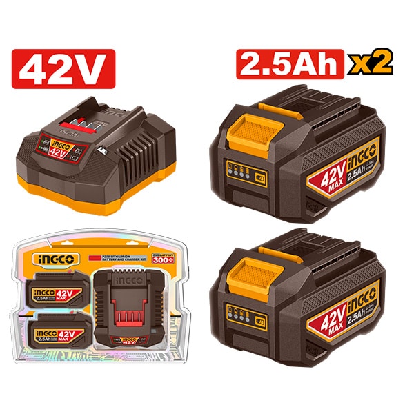 СЕТ 2 БАТЕРИИ 42V 2.5Ah СО ПОЛНАЧ FBCPM25221